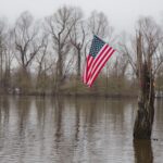 Arts & Vie - Les bayous - Etats-Unis