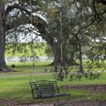 Arts & Vie - Plantations - Louisiane