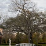 Arts & Vie - Plantations - Louisiane