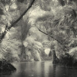 Arts & Vie - Tortuguero - Costa Rica