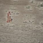 Arts & Vie - Brandberg - Namibie