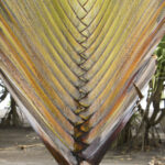 Arts & Vie - Tortuguero - Costa Rica