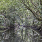 Arts & Vie - Tortuguero - Costa Rica