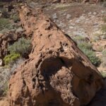 Arts & Vie - Brandberg - Namibie
