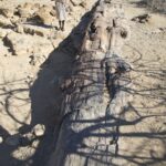Arts & Vie - Brandberg - Namibie