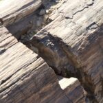 Arts & Vie - Brandberg - Namibie