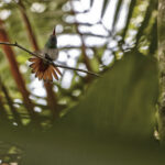 Arts & Vie - Arenal - Costa Rica
