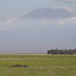 Arts & Vie - Amboseli - Kenya