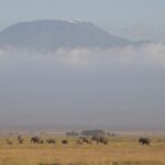 Arts & Vie - Amboseli - Kenya