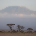 Arts & Vie - Amboseli - Kenya