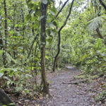 Arts & Vie - Arenal - Costa Rica