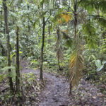 Arts & Vie - Arenal - Costa Rica