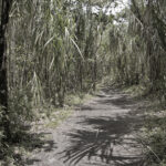 Arts & Vie - Arenal - Costa Rica