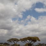 Arts & Vie - Amboseli - Kenya