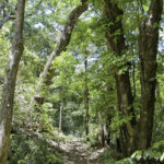 Arts & Vie - Rincon de la Vieja - Costa Rica