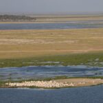 Arts & Vie - Amboseli - Kenya