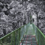 Arts & Vie - Monteverde - Costa Rica