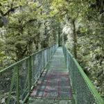 Arts & Vie - Monteverde - Costa Rica