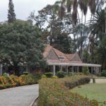 Arts & Vie -Nairobi & le thé - Kenya