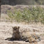 Arts & Vie - Nord-est - Namibie