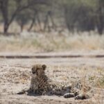 Arts & Vie - Nord-est - Namibie