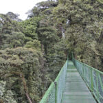 Arts & Vie - Monteverde - Costa Rica