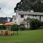Arts & Vie -Nairobi & le thé - Kenya