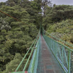 Arts & Vie - Monteverde - Costa Rica
