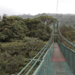 Arts & Vie - Monteverde - Costa Rica