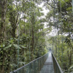 Arts & Vie - Monteverde - Costa Rica