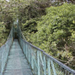 Arts & Vie - Monteverde - Costa Rica