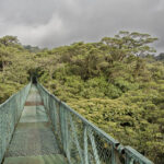 Arts & Vie - Monteverde - Costa Rica