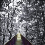 Arts & Vie - Monteverde - Costa Rica