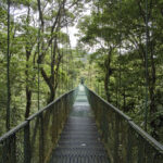 Arts & Vie - Monteverde - Costa Rica