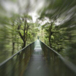 Arts & Vie - Monteverde - Costa Rica