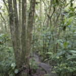 Arts & Vie - Monteverde - Costa Rica
