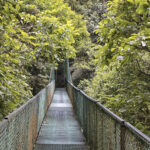 Arts & Vie - Monteverde - Costa Rica