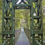 Arts & Vie - Monteverde - Costa Rica