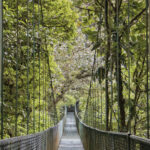 Arts & Vie - Monteverde - Costa Rica