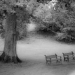 Arts & Vie - Lettonie