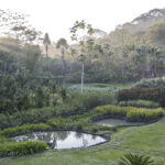 Arts & Vie - Carara & Tarcolès - Costa Rica