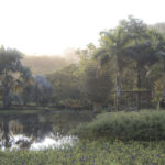 Arts & Vie - Carara & Tarcolès - Costa Rica
