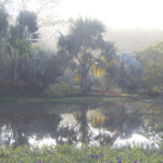 Arts & Vie - Carara & Tarcolès - Costa Rica