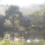 Arts & Vie - Carara & Tarcolès - Costa Rica