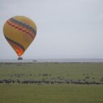 Arts & Vie -Montgolfière Masaï Mara - Kenya