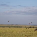 Arts & Vie -Montgolfière Masaï Mara - Kenya