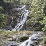 Arts & Vie - Carara & Tarcolès - Costa Rica