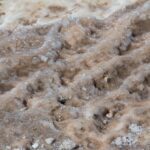 Arts & Vie - Bethanie & la Mer Morte - Jordanie