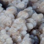 Arts & Vie - Bethanie & la Mer Morte - Jordanie