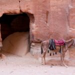 Arts & Vie - Pétra - Jordanie